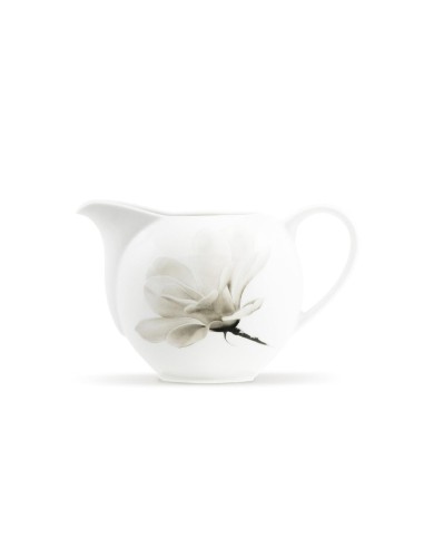 Porcelanowy zestaw obiadowo-kawowy Lubiana Magnolia dla 6 osób, 32 elementy 5900245228090 5