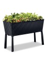 Funkcjonalna donica, zielnik Keter Easy Grow czarna, 49,3 x 114 x 75,7 cm