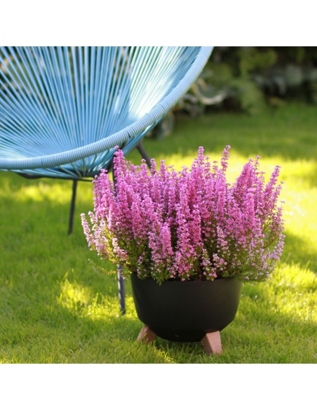 Biała misa, donica na nóżkach Roma Lamela 47.3 cm 5900119058822 12