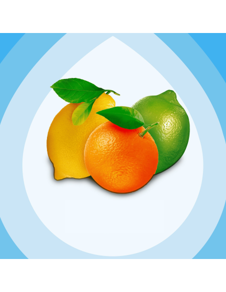 Wielofunkcyjny płyn do czyszczenia Pronto® Everyday Clean Multi-Surface 2 x 500 ml 5000204218428 4