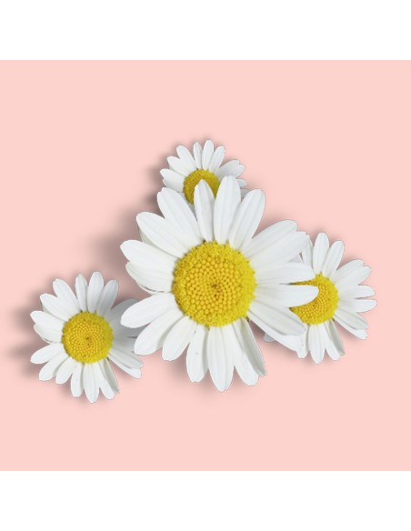 Natychmiastowo chroniący suchy aerozol przeciw komarom dla całej rodziny OFF! Family Care 3x100ml 5000204330151 4