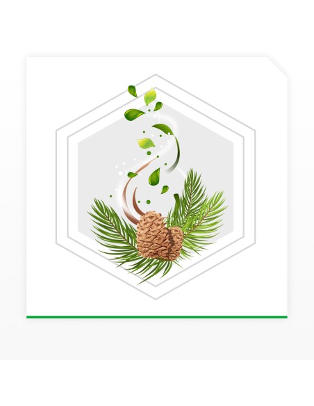 Skuteczne zawieszki żelowe przeciw molom o zapachu cedrowym Raid 3x2 szt. 4000290902844 6