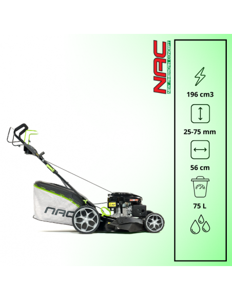 Kosiarka spalinowa z silnikiem Loncin NAC LS56-196L-HSDS-JR2 56 cm 196 cm3 - Kosiarki spalinowe Kosiarka spalinowa z silnikiem Loncin NAC LS56-196L-HSDS-JR2 56 cm 196 cm3 5905842525511 15