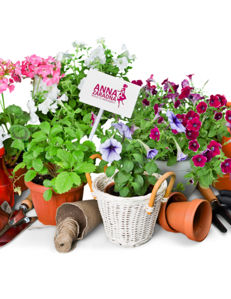 Damskie rękawice ogrodowe, mix wzorów Anna Zaradna rozmiar L - Akcesoria ogrodowe Damskie rękawice ogrodowe, mix wzorów Anna Zaradna rozmiar L 5903936041541 7