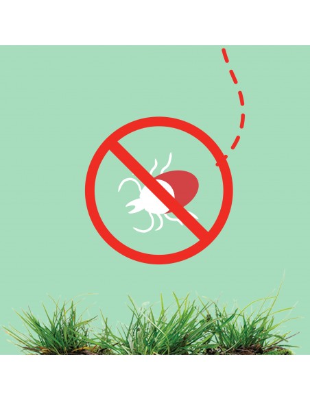 3x Spray odstraszający komary i kleszcze w atomizerze OFF! Multi Insect 100 ml 5000204152197 5