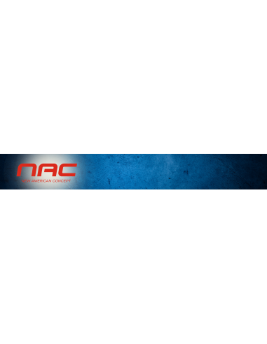 Wydajna wiertarko wkrętarka akumulatorowa udarowa NAC 2x2Ah + walizka 5905842520271 10