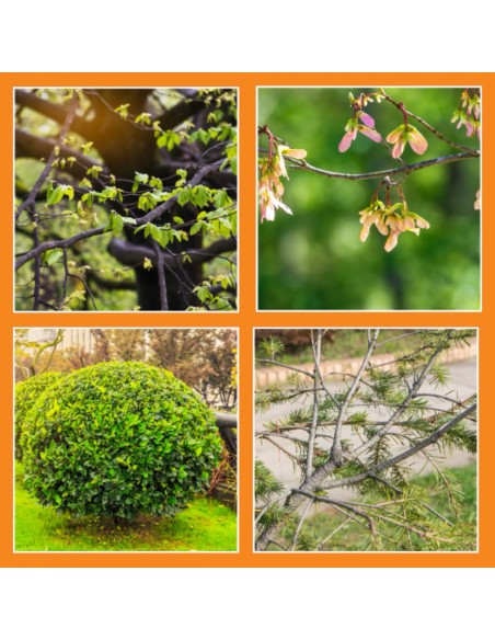 Akumulatorowe nożyce do żywopłotu 45 cm 20V TOP CUT TC-NA20-B20-45-L-RH 5905842525924 9