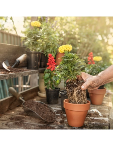 Duża mata do przesadzania roślin Meven 120 cm x 80cm 5905842530867 7