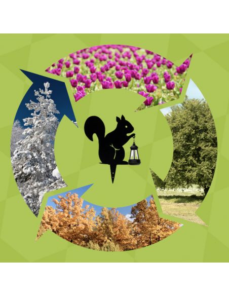 Ogrodowa lampa solarna LED wbijana WIEWIÓRKA Meven 35 cm 5905842530799 5