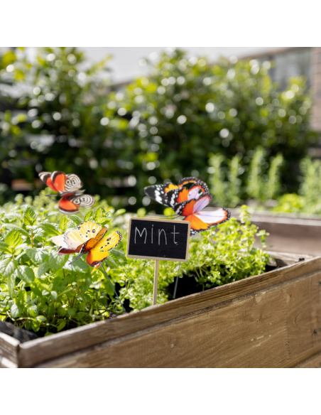 Dekoracyjne motyle świecące w ciemności do ogrodu naturalne Meven 5 szt. 5905842530898 6