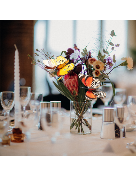 Dekoracyjne motyle świecące w ciemności do ogrodu naturalne Meven 5 szt. 5905842530898 7