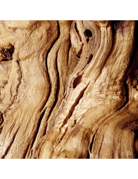 Podwójny odświeżacz powietrza w aerozolu 1+1 Glade Sensual Sandalwood & Jasmine 5000204983425 3