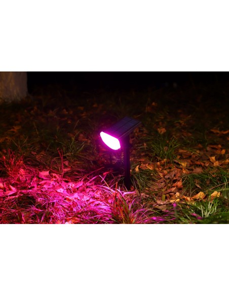 Lampa solarna, reflektor wielokolorowy z czujnikiem zmierzchu 38 LED RGB Meven 2 szt. 5905842532250 5