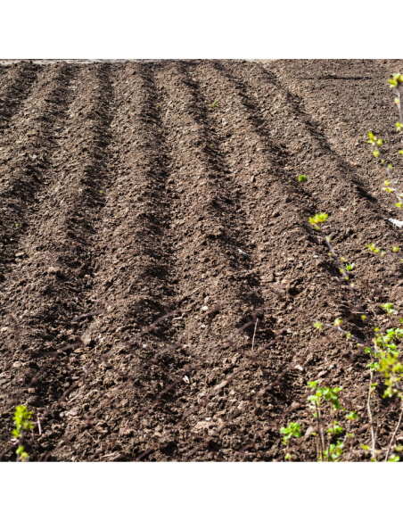 Glebogryzarka spalinowa, kultywator do ziemi 196 cm3 NAC TIP80-196-M 5902067851685 6