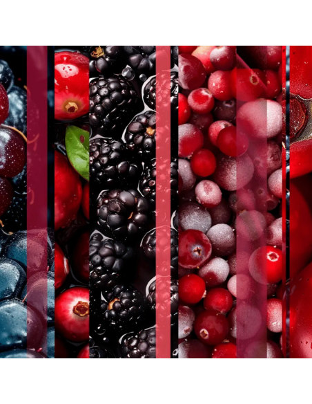 Zimowy wkład do automatycznego odświeżacza powietrza Glade Winter Berries 269 ml 5000204414332 6