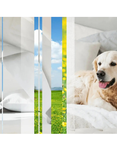 Elektryczny odświeżacz powietrza z wkładem niwelującym przykre zapachy Glade PETS Refreshing Air - Odświeżacze elektryczne Elektryczny odświeżacz powietrza z wkładem niwelującym przykre zapachy Glade PETS Refreshing Air 5000204381405 4