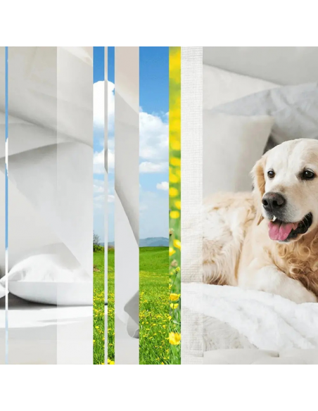 Elektryczny odświeżacz powietrza z wkładem niwelującym przykre zapachy Glade PETS Refreshing Air - Odświeżacze elektryczne Elektryczny odświeżacz powietrza z wkładem niwelującym przykre zapachy Glade PETS Refreshing Air 5000204381405 4