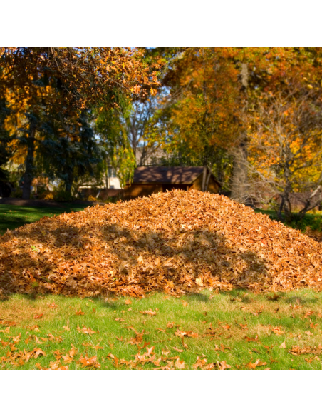 Akumulatorowa dmuchawa ogrodowa z baterią i ładowarką 20V NAC BB20-B40-S 5905842524750 13