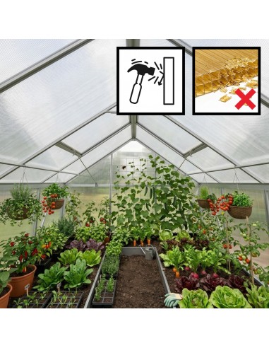 Szklarnia ogrodowa z poliwęglanu z oknami dachowymi 302 cm x 183 cm 5,24 m2  6