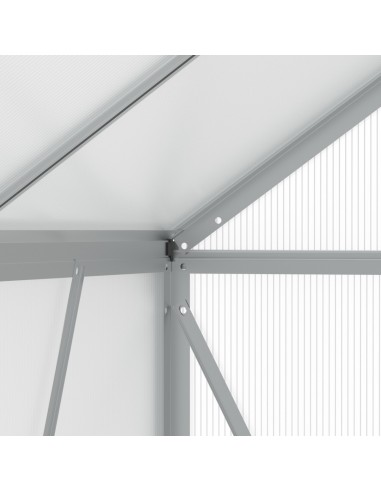 Szklarnia ogrodowa z poliwęglanu z oknami dachowymi 302 cm x 183 cm 5,24 m2  13