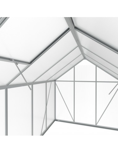 Szklarnia ogrodowa z poliwęglanu z oknami dachowymi 302 cm x 183 cm 5,24 m2  14