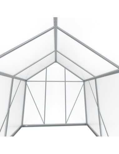 Duża szklarnia ogrodowa z poliwęglanu z oknami 361 cm x 183 cm 6,25m2  12